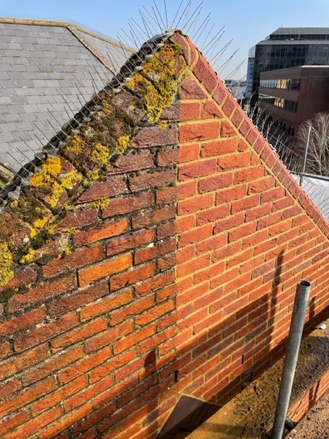 Brick-Cleaning